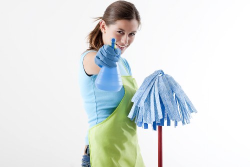 Professional steam carpet cleaning in Hainault for refreshed carpets