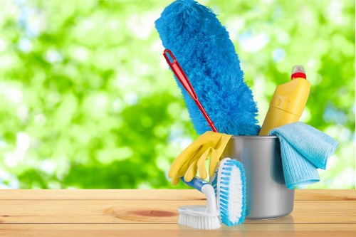 Carpet cleaning team in Hainault preparing equipment safely