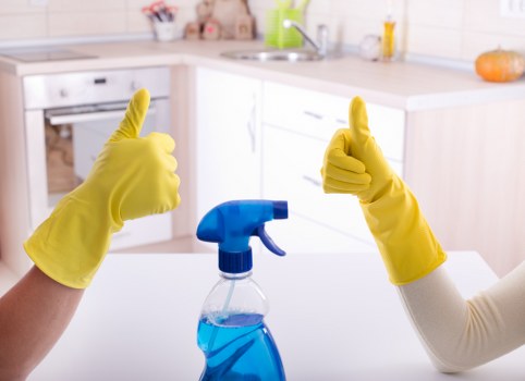 Screen-reader support information for carpet cleaning website