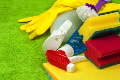 Deep cleaning carpet for pet stain odour removal in Hainault