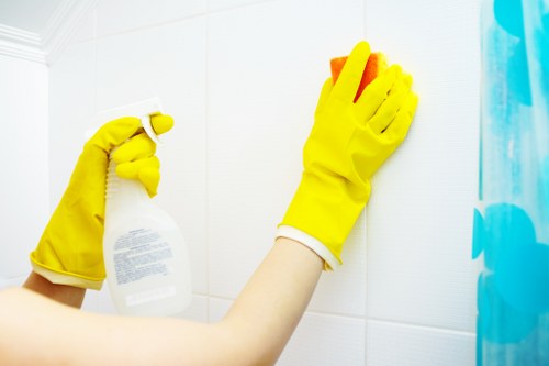 Hot water extraction carpet cleaning process in Hainault