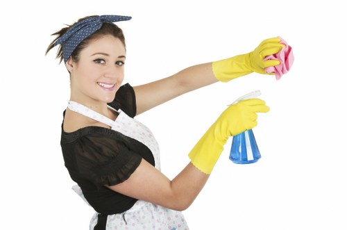 Deep rug cleaning process helping remove dust and stains
