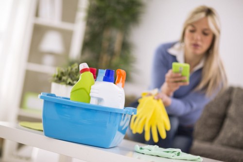 Professional carpet cleaning service with safety-focused equipment