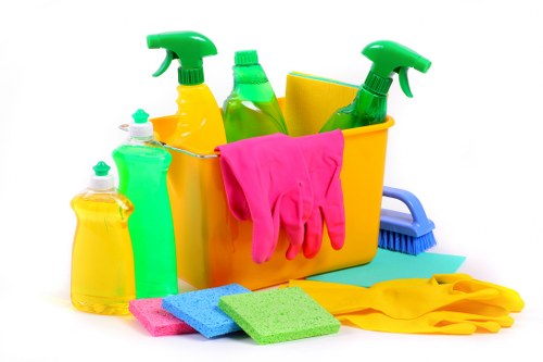Understanding pet urine odour treatment in Hainault homes